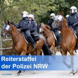 Polizeireiter auf Pferden