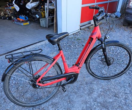 Sichergestelltes E-Bike